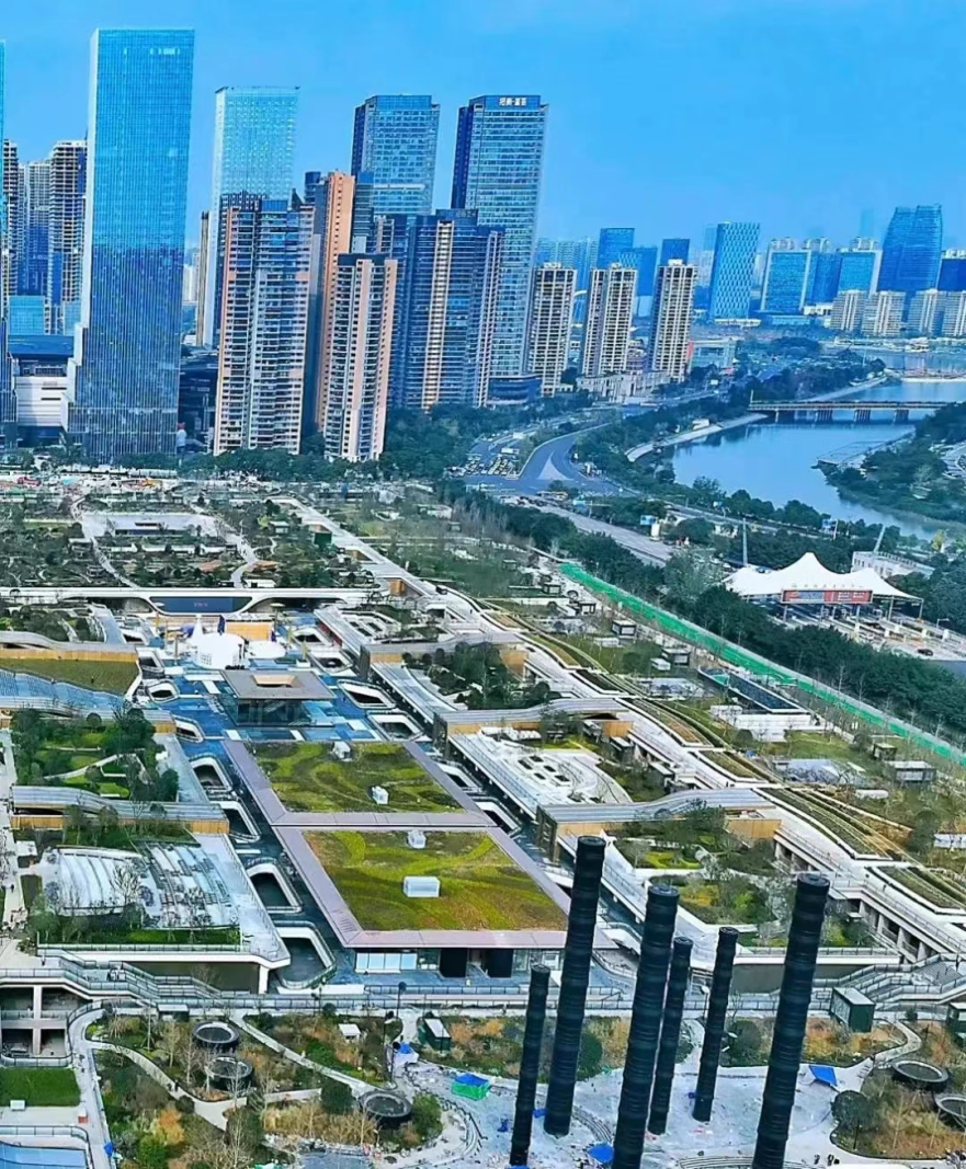 图片4
