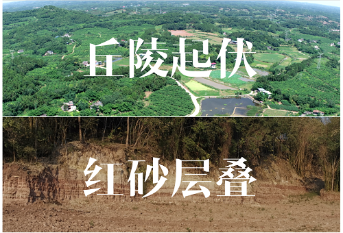 微信图片_20230425112432