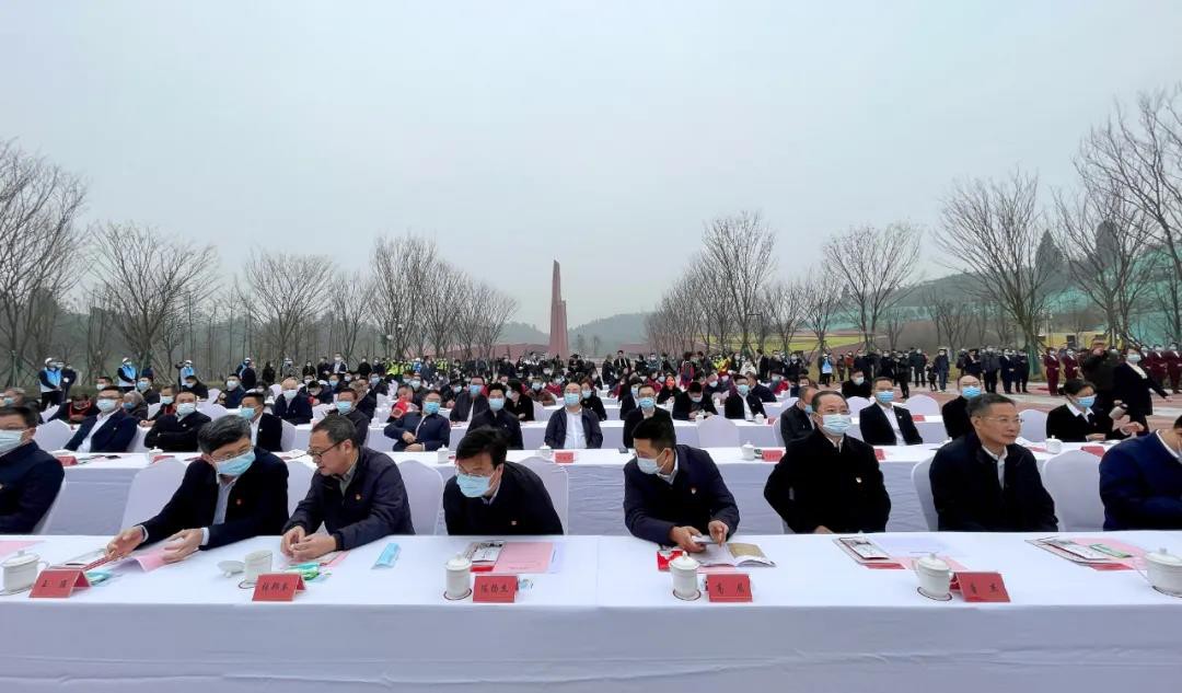 图片6